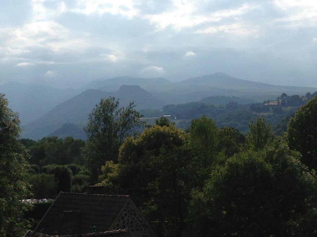 La Vue Sur Le Paradis Chambon-sur-Lac Cameră foto